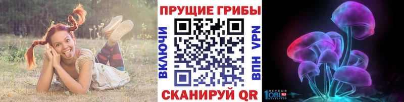 Галлюциногенные грибы Cubensis Рыльск
